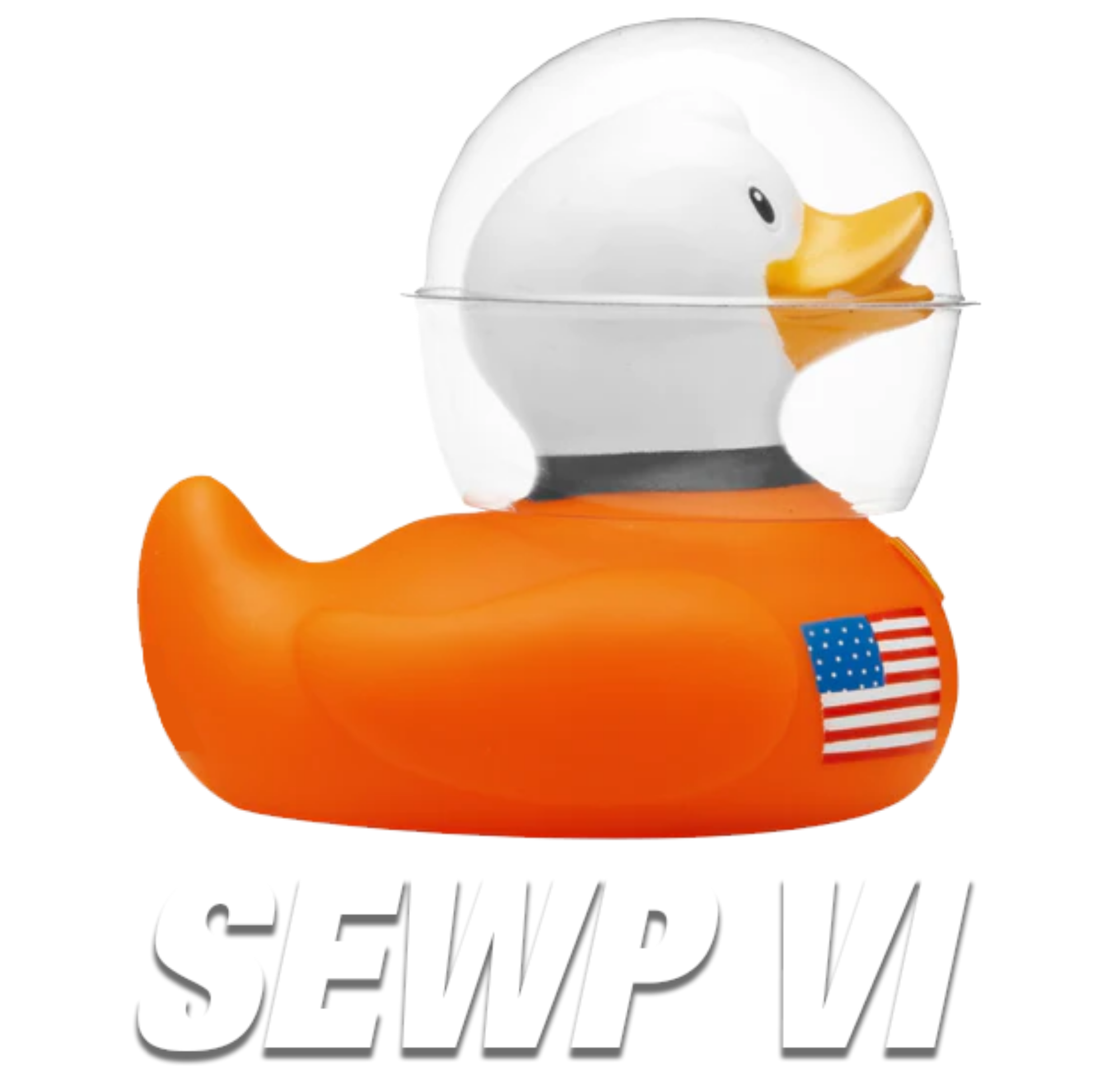 SEWP VI Logo